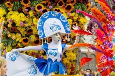 Ежегодный фестиваль цветов пройдет в Петербурге в начале сентября