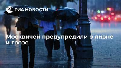 МЧС предупредило о ливнях и грозе в Москве