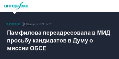 Памфилова переадресовала в МИД просьбу кандидатов в Думу о миссии ОБСЕ