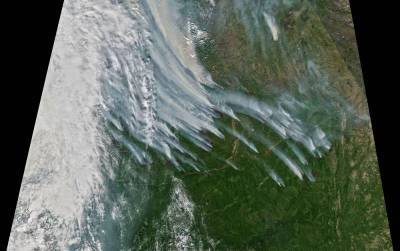 Дым от лесных пожаров в Сибири накрыл Северный полюс