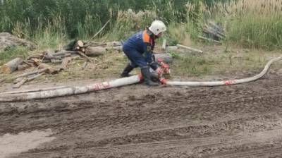 Пензенские пожарные продолжают тушить мордовский заповедник