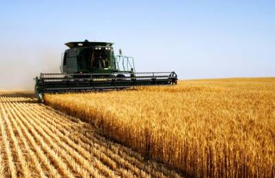 Аграрии Днепропетровщины обмолотили 75% ранних зерновых