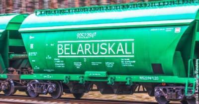 Санкции США для "Беларуськалия" скажутся на потоках грузов – минтранс Литвы