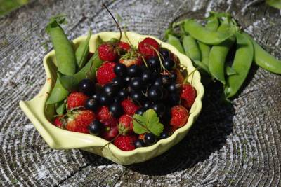 Эксперты объяснили рост цен на сезонные ягоды из Ленобласти