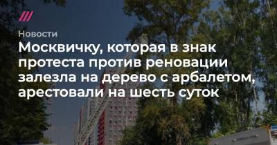 Москвичку, которая в знак протеста против реновации залезла на дерево с арбалетом, арестовали на шесть суток