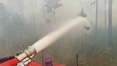 В Мордовии, где горит природный заповедник, за сутки удалось немного сократить площадь пожаров