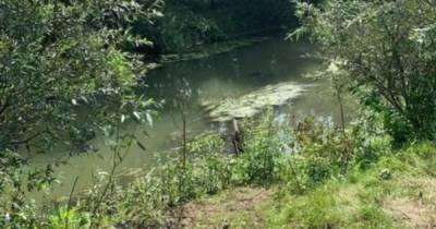 Семья пропавшей на Алтае девочки не верит, что ее останки нашли в реке