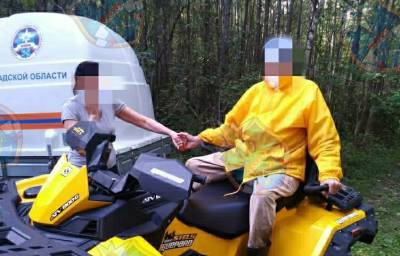 Заплутавшего в лесу под Приозерском пенсионера спасли благодаря СМС