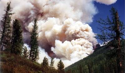 Вывод ООН: из-за лесных пожаров Россия рискует стать "загрязнителем планеты"