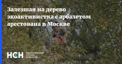 Ольга Кузьмина - Залезшая на дерево экоактивистка с арбалетом арестована в Москве - nsn.fm - Москва