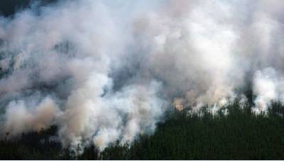 Дым от лесных пожаров в Якутии достиг Северного полюса и вызвал сумрак в Монголии