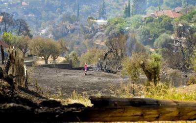 В Греции объявили масштабную эвакуацию из-за лесных пожаров