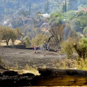В Греции из-за пожаров объявили масштабную эвакуацию