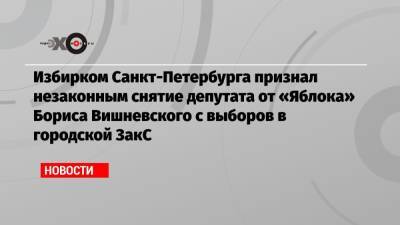 Избирком Санкт-Петербурга признал незаконным снятие депутата от «Яблока» Бориса Вишневского с выборов в городской ЗакС
