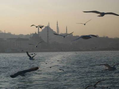 РИА «Новости»: в Турции нашли тело пропавшего российского туриста
