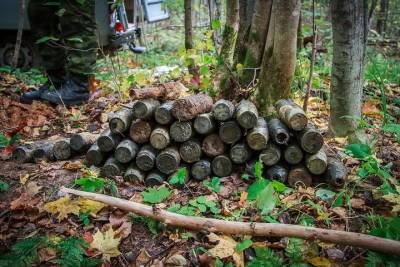 В Смоленской области уничтожили 8 боеприпасов времен ВОВ