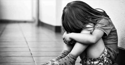 Изнасилование 6-летней девочки в Северодонецке: прокуратура сообщила новые подробности по делу