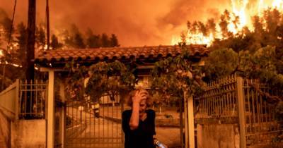 Пожары в Греции: объявлена эвакуация 12 населенных пунктов (фото)
