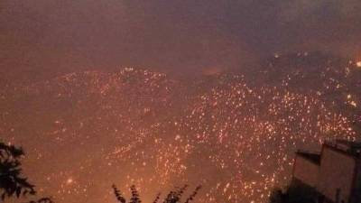Не менее 25 военнослужащих погибли в Алжире во время тушения лесных пожаров