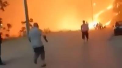 ЧП. При тушении лесных пожаров в Алжире погибли больше 20 военных
