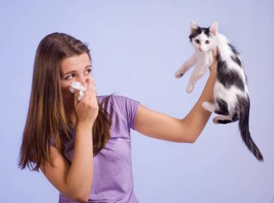 Что нужно знать, если у вас появилась аллергия на животных?