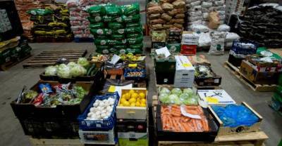 РЭО призвал отказаться от упаковки овощей и фруктов в магазинах