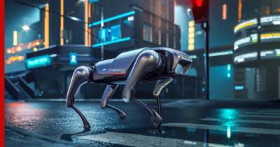 Компания Xiaomi представила робота-собаку собственной разработки