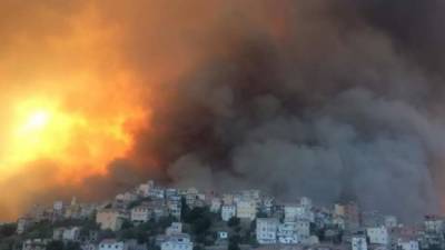 В Алжире 42 человека погибли в результате лесных пожаров