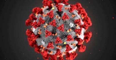 В Нью-Йорке выявлен новый штамм коронавируса "йота" с летальностью до 82%