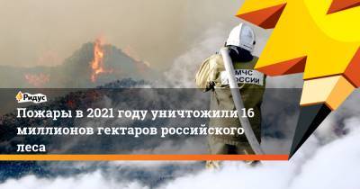 Пожары в2021 году уничтожили 16 миллионов гектаров российского леса
