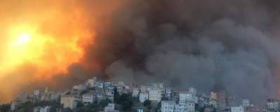 Абдельмаджид Теббун - 42 человека стали жертвами лесных пожаров в Алжире - runews24.ru - Алжир - Алжирская Народная Демократическая Республика - Алжир