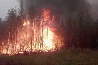 Лесные спецназовцы из Бурятии продолжают тушить пожары в Якутии и Приангарье