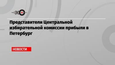 Представители Центральной избирательной комиссии прибыли в Петербург