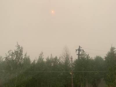 В Красноярском крае за сутки дым лесных пожаров окутал более 900 населенных пунктов