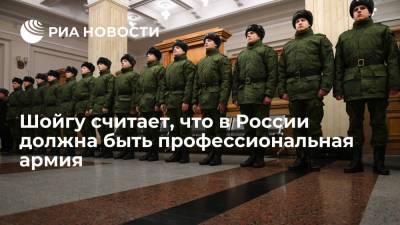 Шойгу считает, что в России должна быть профессиональная армия из военнослужащих по контракту