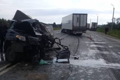 Водитель пошел на обгон в запрещенном месте и погиб в ДТП с грузовиком в Новосибирской области