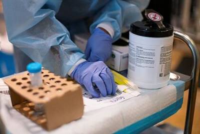 Ученые в США сообщили о штамме коронавируса с летальностью выше 82 процентов