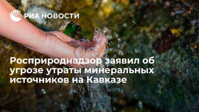 Глава Росприроднадзора Радионова предупредила об угрозе утраты минеральных источников на Кавказе