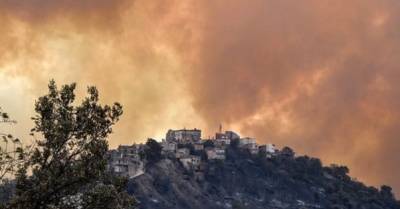 Пожары в Алжире: в огне погибли 42 человека (ФОТО, ВИДЕО)