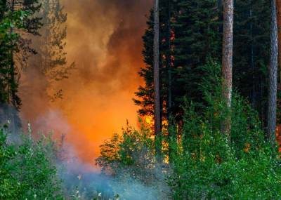 В Якутии из-за лесного пожара снова эвакуируют людей