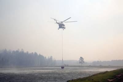Экологи назвали основную причину масштабных лесных пожаров в России