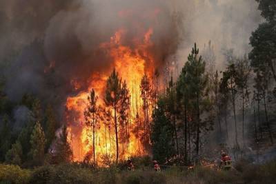 В Брянской области произошло 9 пожаров в минувший вторник