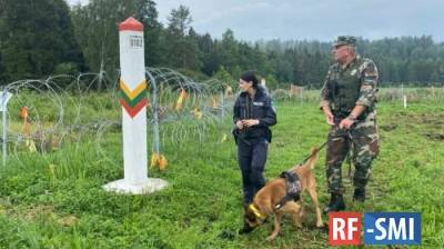 Еврокомиссия не будет финансировать строительство стены на границе Белоруссии и Литвы