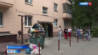 В квартирах ростовчан поселились семейства крыс