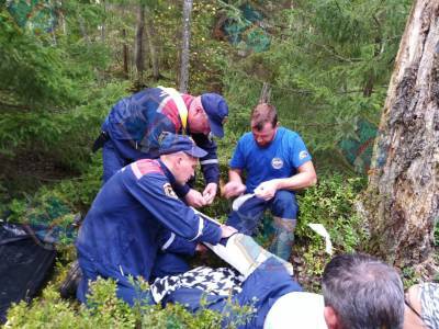 Спасатели вынесли из леса у Немятово заблудившегося мужчину с поврежденной ногой