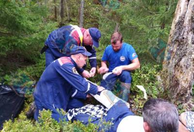 Спасатели пришли на помощь мужчине, который заблудился в лесу неподалеку от Немятово и повредил ногу