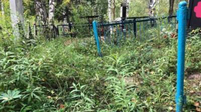 Жители Пензенской области сообщили о серии кладбищенских краж