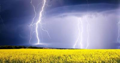 В пяти областях Украины объявлено штормовое предупреждение