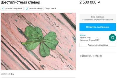 Белгородка выставила на продажу шестилистный клевер за 2,5 млн рублей