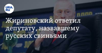 Жириновский ответил депутату, назвавшему русских свиньями